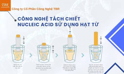 CÔNG NGHỆ TÁCH CHIẾT NUCLEIC ACID SỬ DỤNG HẠT TỪ