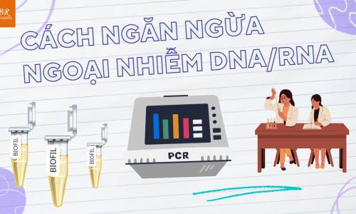 CÁCH NGĂN NGỪA NGOẠI NHIỄM DNA/RNA